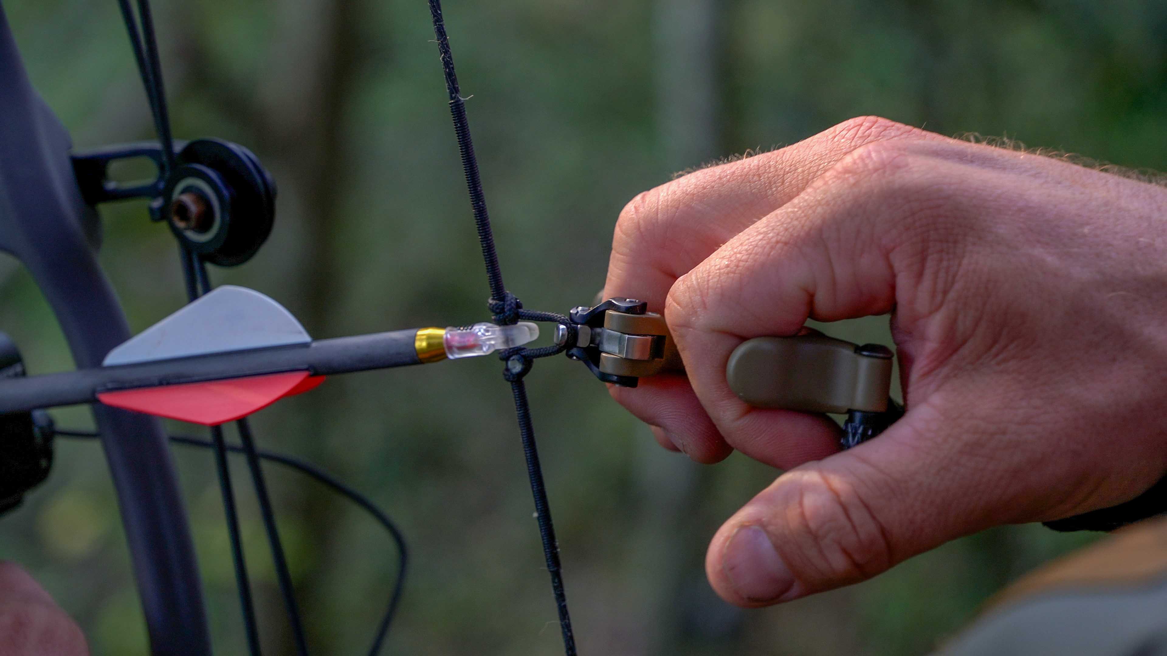 Gold Tip Arrow