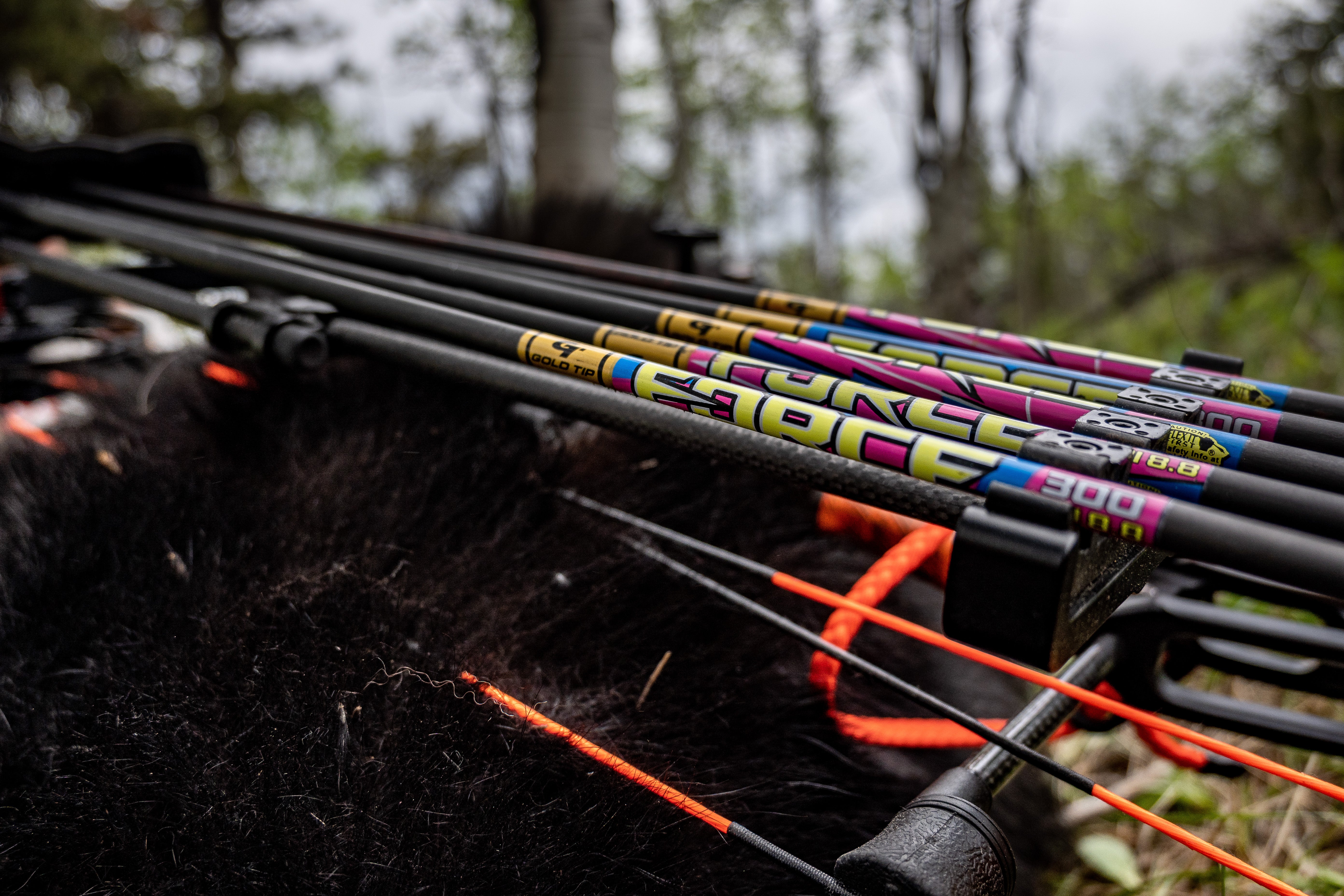 Gold Tip Force Hunting Arrows in Quiver