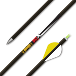 Gold Tip 30X Plus Arrow