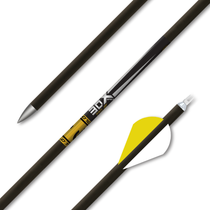Gold Tip 30X Pro Arrow