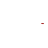 Gold Tip Black Label Arrow Full