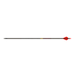 Gold Tip Black Label Quantum Arrow Full