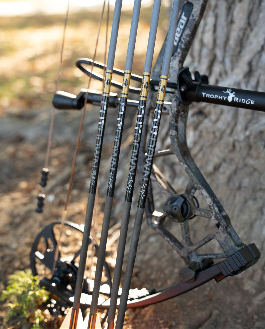 Ready-to-shoot Gold Tip cut down arrows, pre-cut carbon hunting arrows for bowhunting, ready-to-go hunting arrows for compound bows.