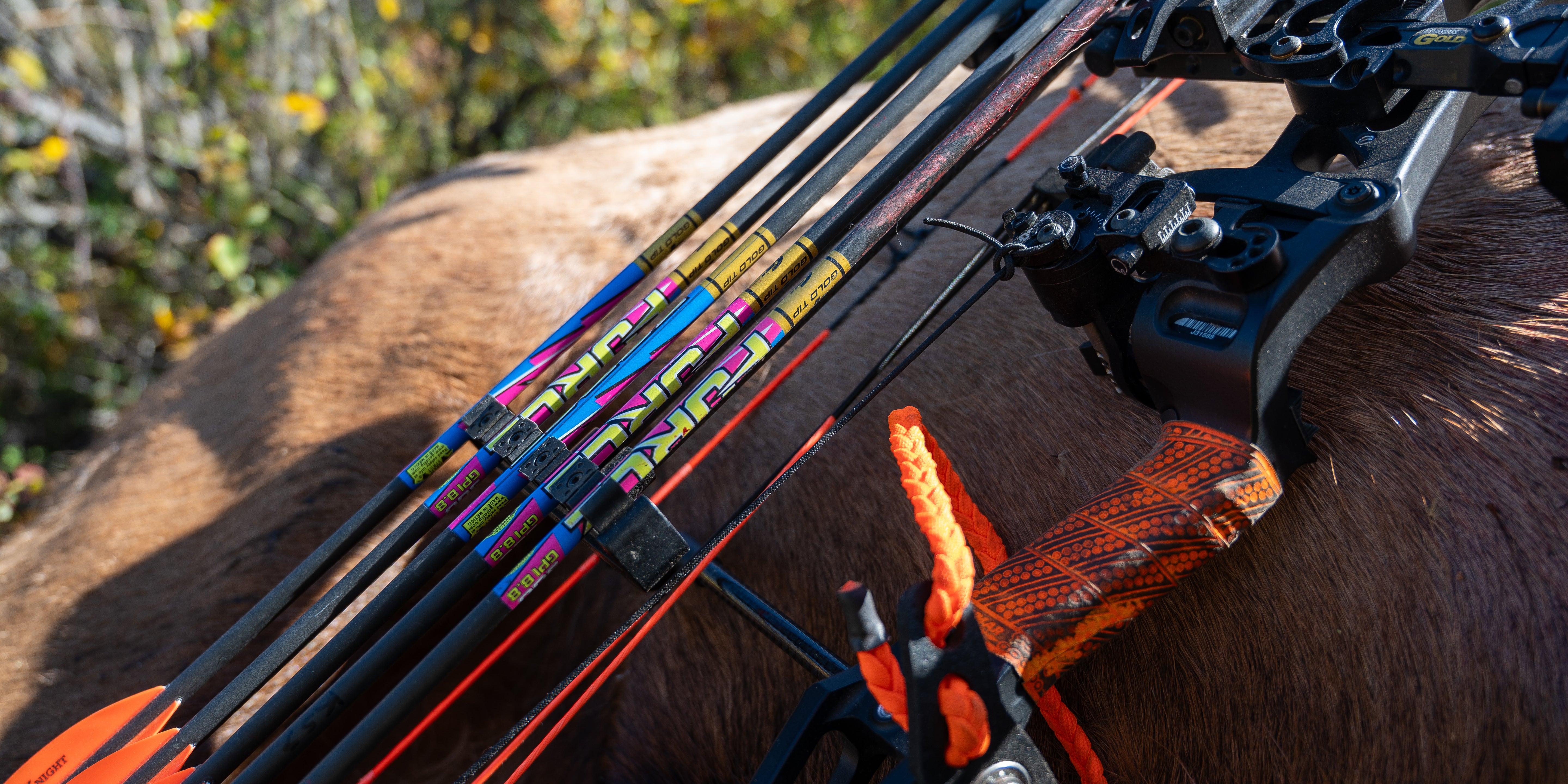 Gold Tip Force F.O.C. Arrows in quiver leaning against a harvest.