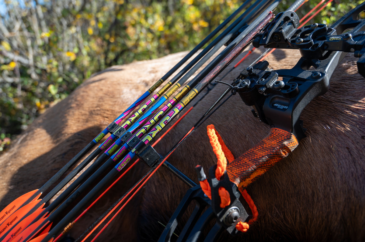 Hunting & Target Archery Arrows – Gold Tip Arrows