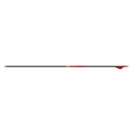 Gold Tip Kinetic Arrow Full
