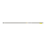 Gold Tip Pierce Platinum Arrow Full