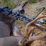 Gold Tip Pierce Platinum premium carbon hunting arrows engineered for accuracy, speed, and consistency