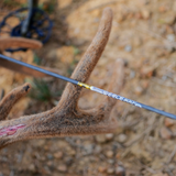 Gold Tip Pierce Platinum premium carbon hunting arrows engineered for accuracy, speed, and consistency