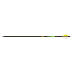 Gold Tip Series 22 Plus Arrow Full