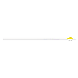 Gold Tip Series 22 Plus Arrow Full