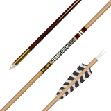Gold Tip Traditional Classic Arrow
