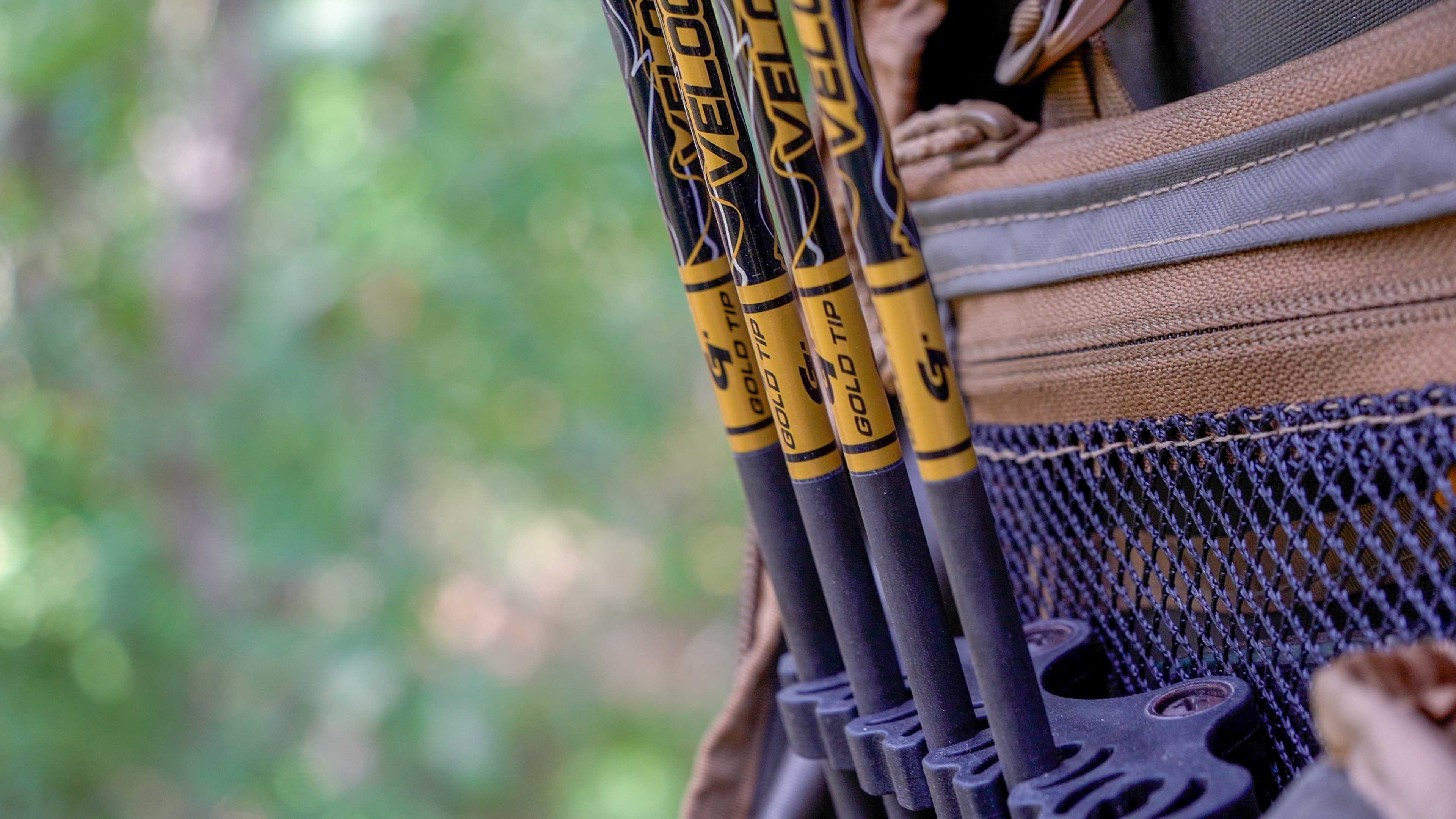 Gold Tip Velocity Arrows displayed in a quiver.
