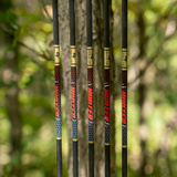 Hunter Arrows .246