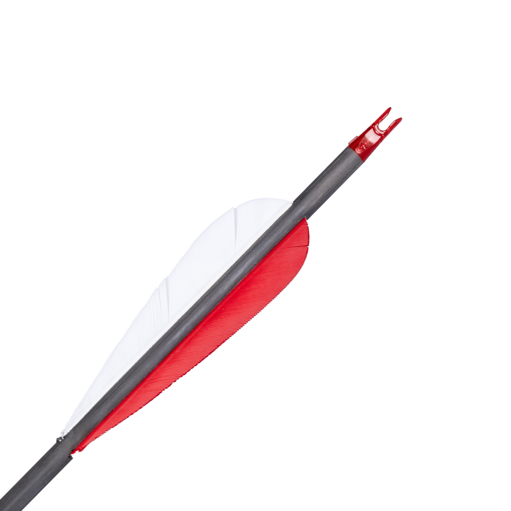 Hunter Arrows .246