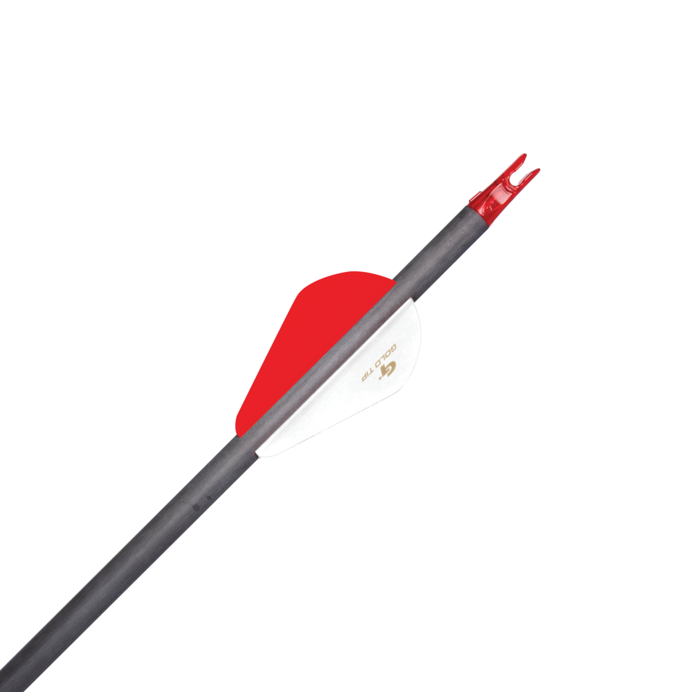 Hunter Arrows .246