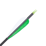 Hunter XT Arrows .246