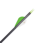 Hunter XT Arrows .246